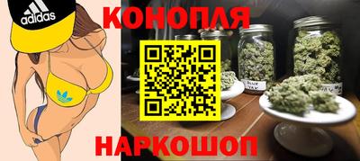 a pvp Гусь-Хрустальный