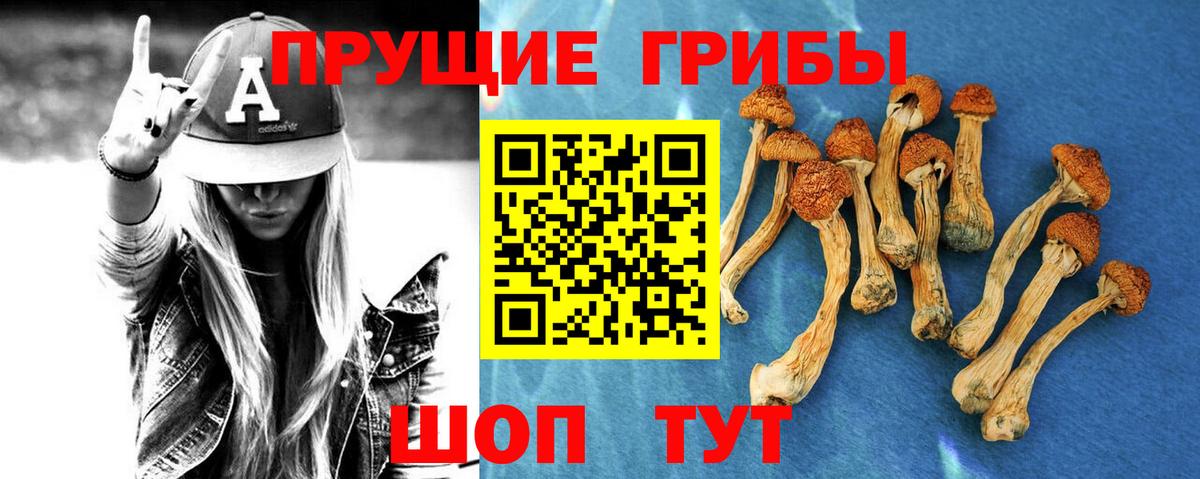 Галлюциногенные грибы прущие грибы  Вход с VPN  купить   Орехово-Зуево 